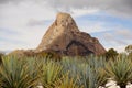 Agaves and monolith in PeÃÂ±a de Bernal queretaro mexico IX