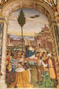 Bernardino Pinturicchio Frescoes in Piccolomini Library in Royalty Free Stock Photo