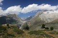 Bernese alps