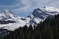 Bernese Alps Treeline