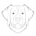 Bernese Mountain Dog easy coloring cartoon vector illustration. Isolated on white background Royalty Free Stock Photo