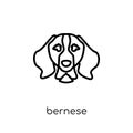 Bernese Mountain dog icon. Trendy modern flat linear vector Bern