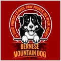 Bernese Mountain Dog - vector illustration for t-shirt, logo and template badges Royalty Free Stock Photo