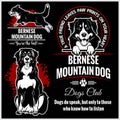 Bernese Mountain Dog - vector set for t-shirt, logo and template badges Royalty Free Stock Photo