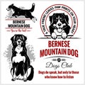 Bernese Mountain Dog - vector set for t-shirt, logo and template badges Royalty Free Stock Photo