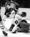 Bernie Parent Royalty Free Stock Photo