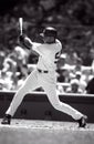 Bernie Williams New York Yankees Royalty Free Stock Photo