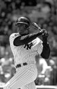 Bernie Williams New York Yankees Royalty Free Stock Photo