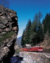 The Bernina-Express of RhÃÂ¤tische Bahn drives to the swiss alps Royalty Free Stock Photo