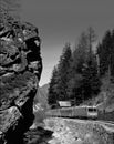 The Bernina-Express of RhÃÂ¤tische Bahn drives to the swiss alps in Engadin Royalty Free Stock Photo