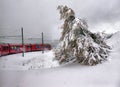 Bernina express train and admiring the scenic view on the Swiss alps Royalty Free Stock Photo