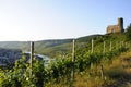 Bernkastel-Kues, Germany