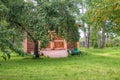 Apple tree near the barn