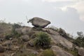 Bero hills & landscape at purulia west bengal