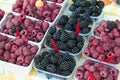 Berries Royalty Free Stock Photo