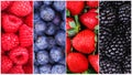 Berries Background Collection. Raspberry, Blueberry, Blackberry