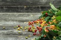 Berries on a beautiful wooden background, winter, autumn