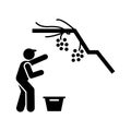 Berries, berry, fruits, harvest, man icon. Element of gardening icon. Premium quality graphic design icon. Signs and symbols