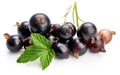 Berries black currant with green leaf fresh Royalty Free Stock Photo