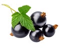 Berries black currant with green leaf. Fresh fruit isolated Royalty Free Stock Photo