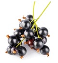 Berries black currant with green leaf. Fresh fruit isolated Royalty Free Stock Photo