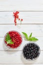 Berries of black red and white currant Royalty Free Stock Photo