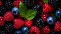 Berries. Blackberry, raspberry, blueberry, red currant and mint background.