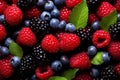 Berries. Blackberry, raspberry, blueberry, red currant and mint background.