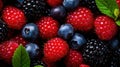 Berries. Blackberry, raspberry, blueberry, red currant and mint background.