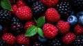 Berries. Blackberry, raspberry, blueberry, red currant and mint background.