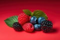 Berries. Blackberry, raspberry, blueberry, red currant and mint background.