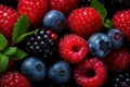 Berries. Blackberry, raspberry, blueberry, red currant and mint background.