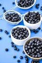 Berries. Blueberry. Forest Berries in a bowl on blue background. Background with selective focus. Copy space Royalty Free Stock Photo