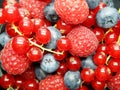 Berries in bowl, assorted mix of fruits, raspberry, red currant, blueberry against a white background Royalty Free Stock Photo