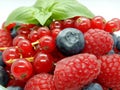 Berries in bowl, assorted mix of fruits, raspberry, red currant, blueberry against a white background Royalty Free Stock Photo