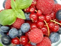 Berries in bowl, assorted mix of fruits, raspberry, red currant, blueberry against a white background Royalty Free Stock Photo