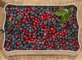Berries in a box