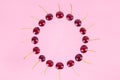 Berries of cherries arranged in a circle. Pink background. Concept of berries season and proper nutrition