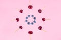 Berries of cherries and blueberries arranged in a circle. Pink background. Concept of berries season and proper nutrition