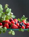 Berries closeup colorful assorted mix of strawberry, blueberry, raspberry and sweet cherry on a glass table Royalty Free Stock Photo