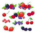 Berries Collection