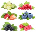 Berries collection strawberries blueberries red currants berry fruits fruit isolated on white Royalty Free Stock Photo