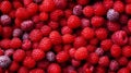 The berries are colorful and varied. Monochromatic background with fruits