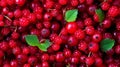 The berries are colorful and varied. Monochromatic background with fruits