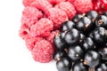 Berries composition currant and raspberry Royalty Free Stock Photo