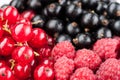 Berries composition currant and raspberry Royalty Free Stock Photo