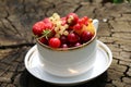 Berries in a Cup.