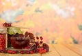 Berries and cup tea on background autumn leaves. Royalty Free Stock Photo