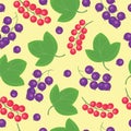 Berries currant seamless patterns vector