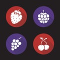 Berries flat design long shadow icons set Royalty Free Stock Photo